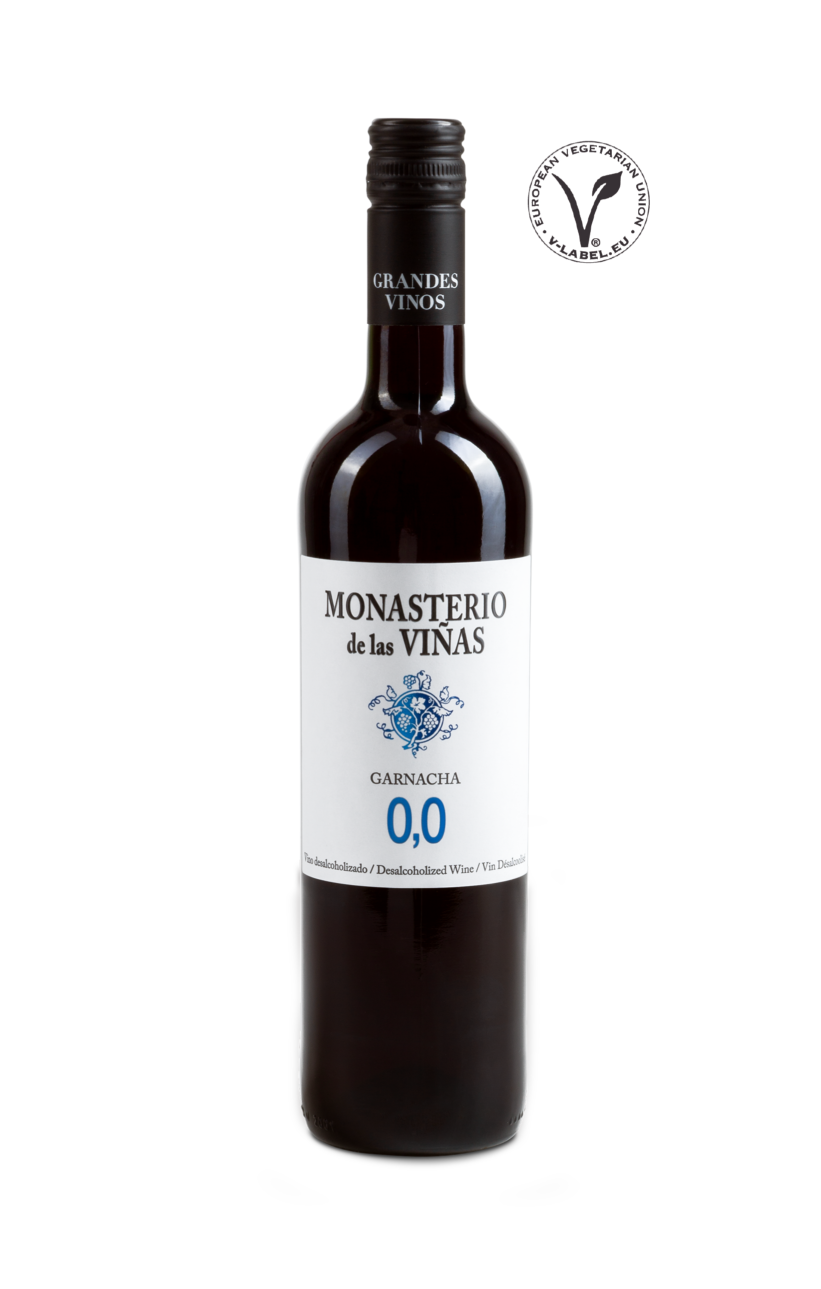 Odoo • Texto e imagen