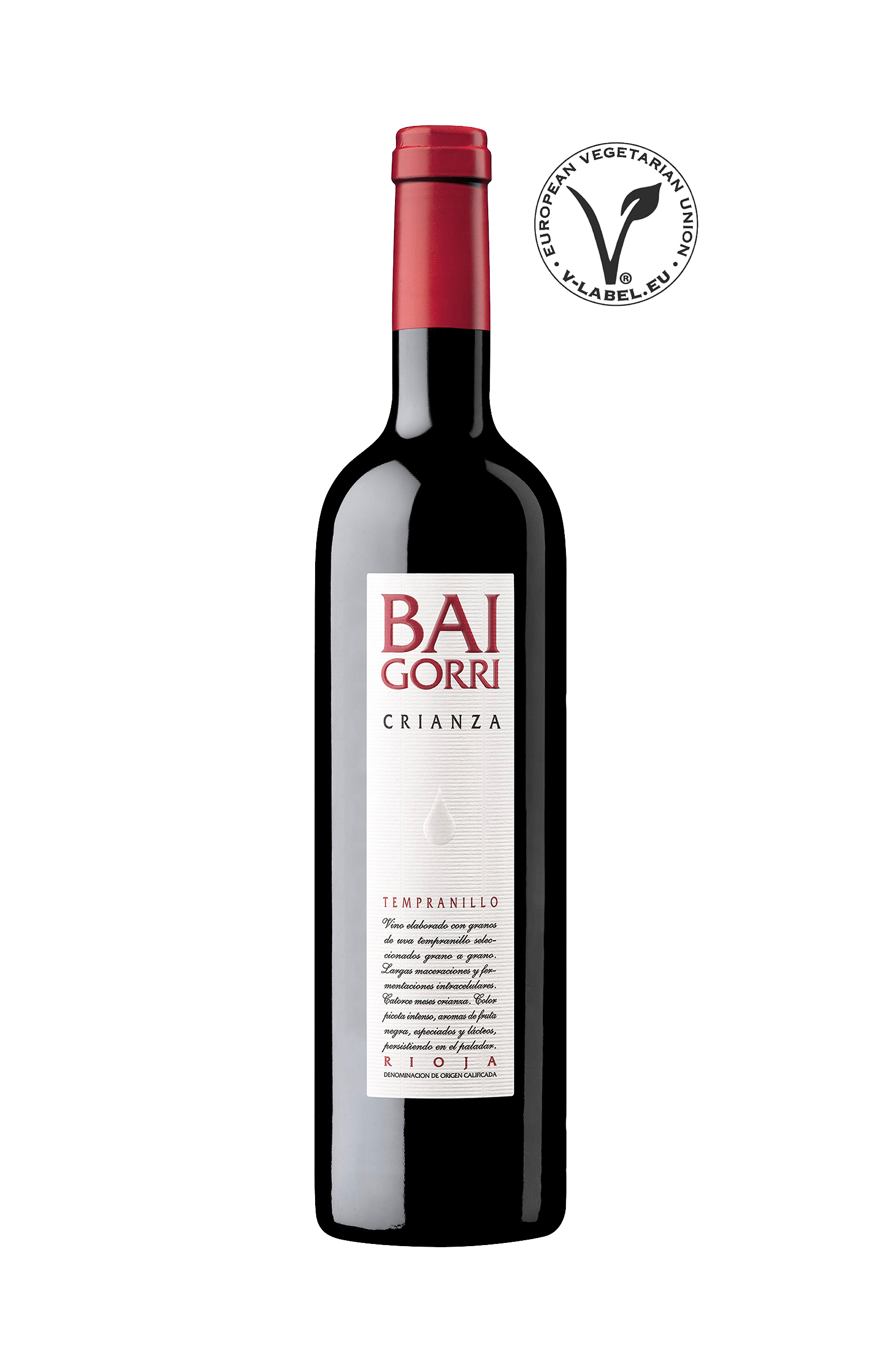 Odoo • Texto e imagen