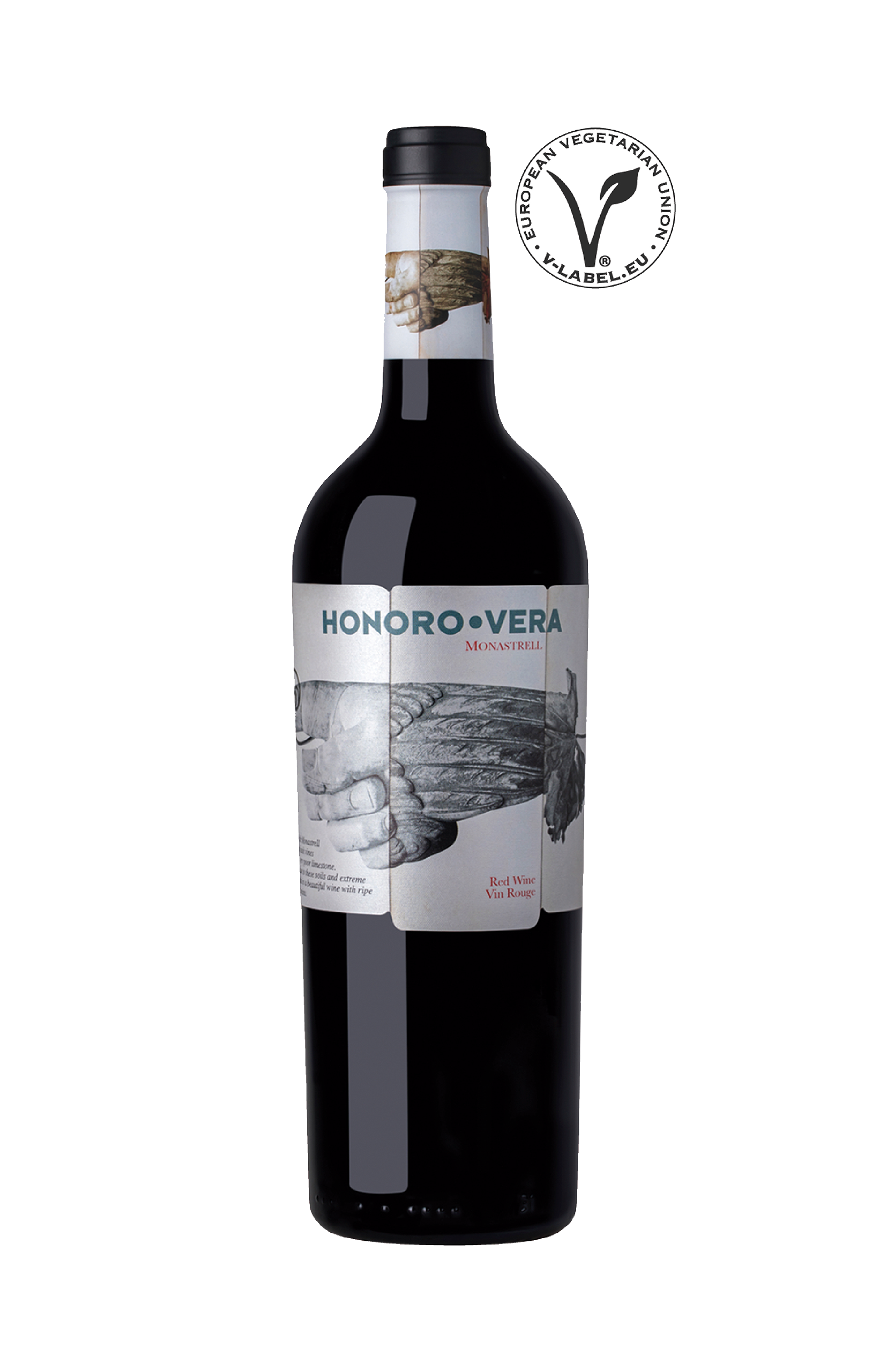 Odoo • Texto e imagen