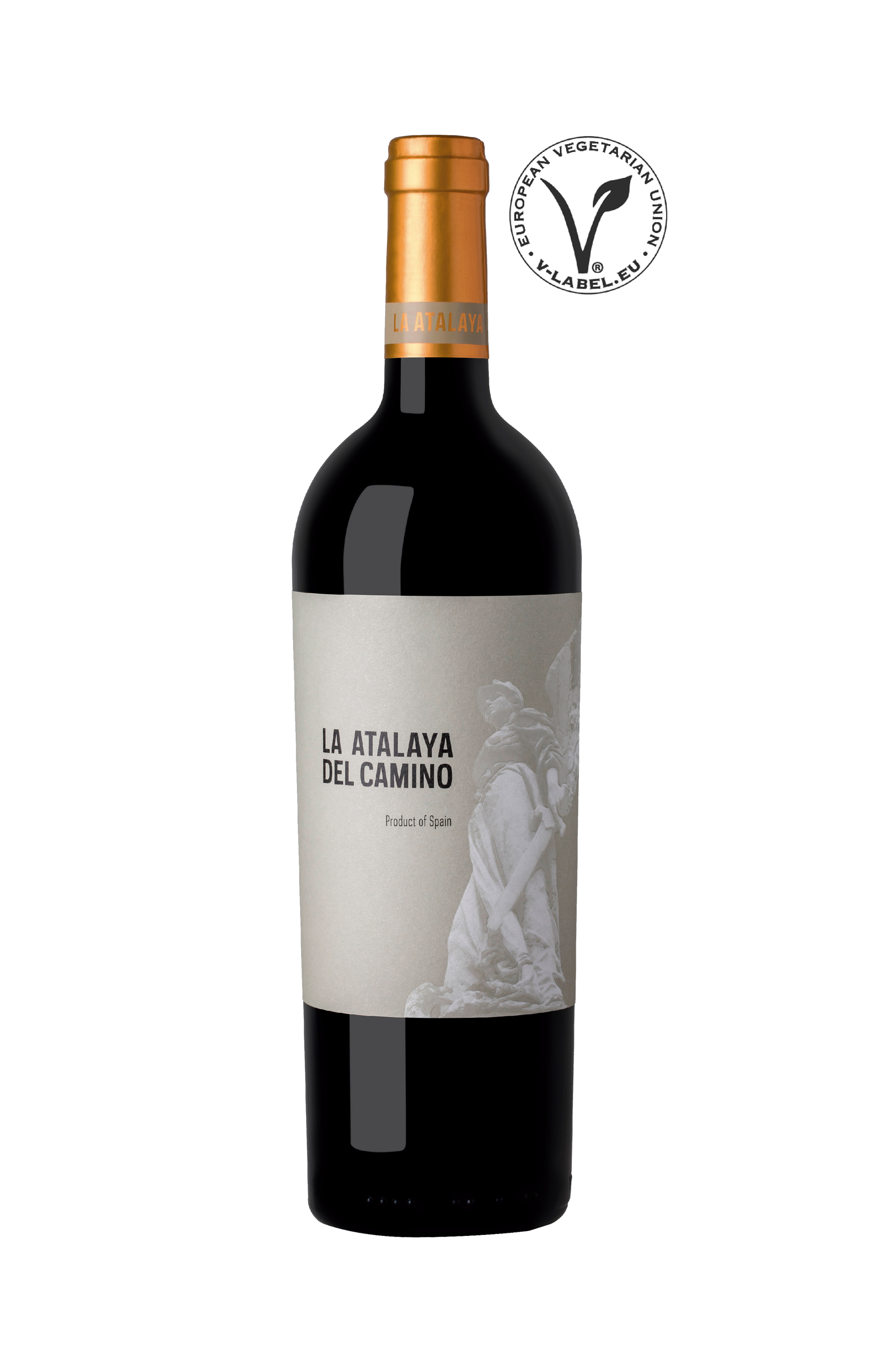 Odoo • Texto e imagen