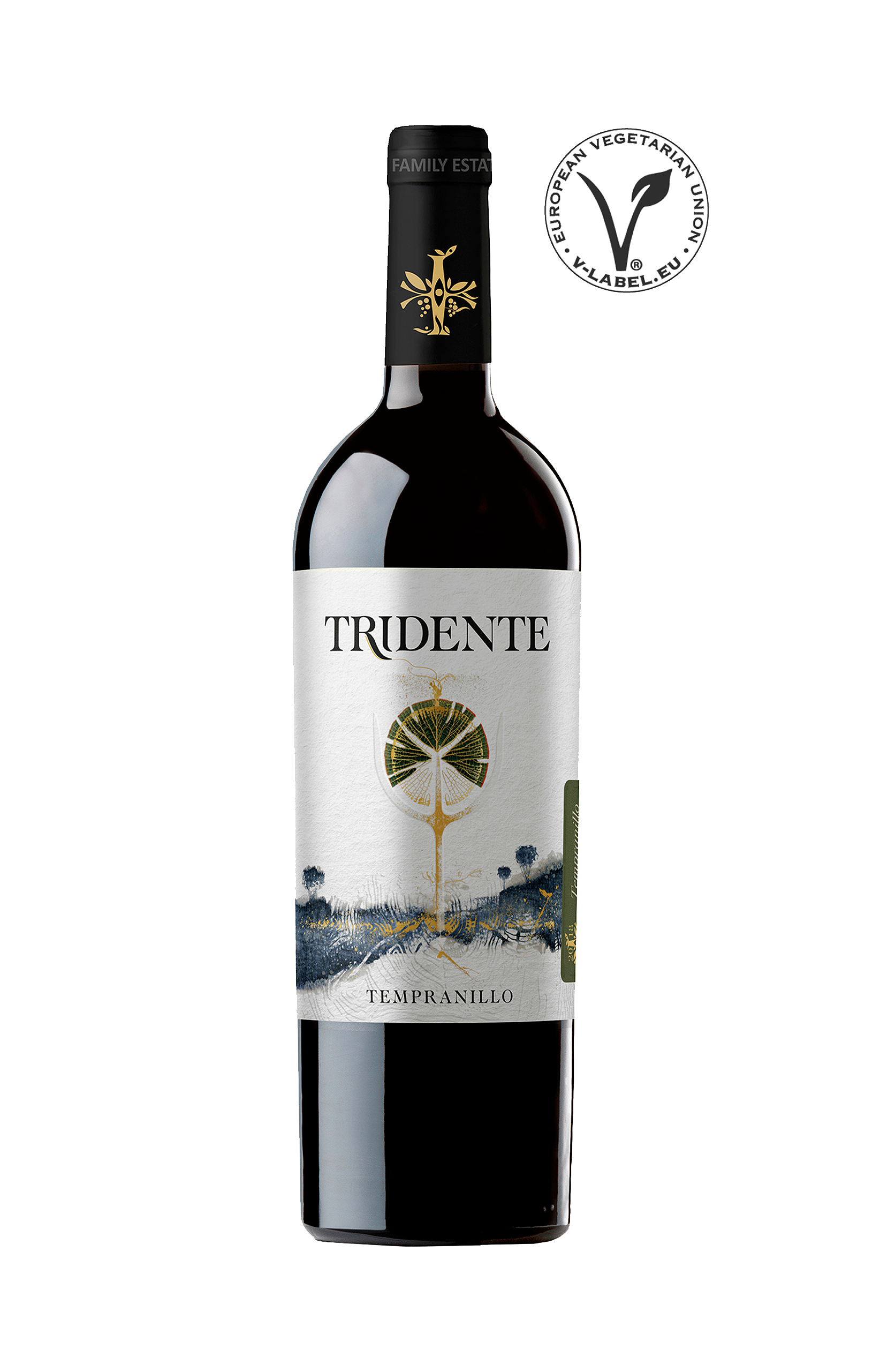 Odoo • Texto e imagen